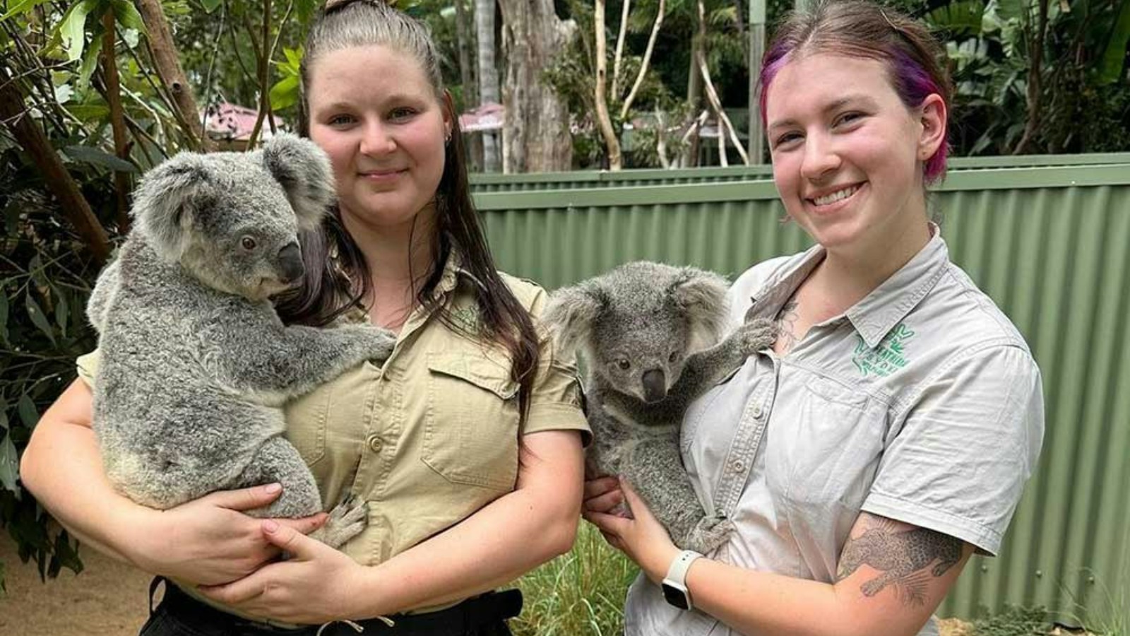 Koala Encounter at Featherdale Wildlife Park - CLICK HERE